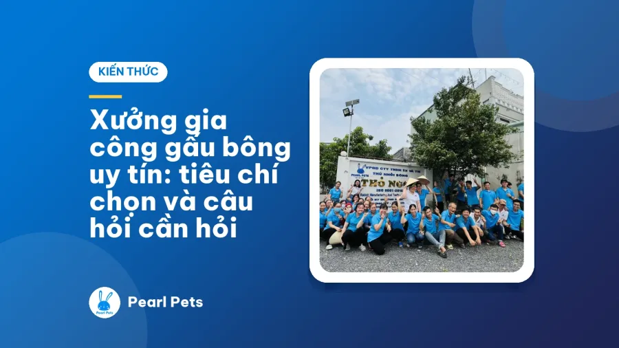 Xưởng gia công gấu bông uy tín: tiêu chí chọn và câu hỏi cần hỏi